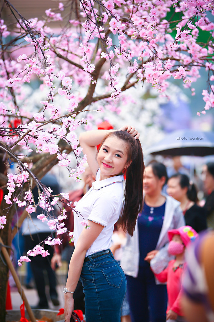 视频一区二区在线